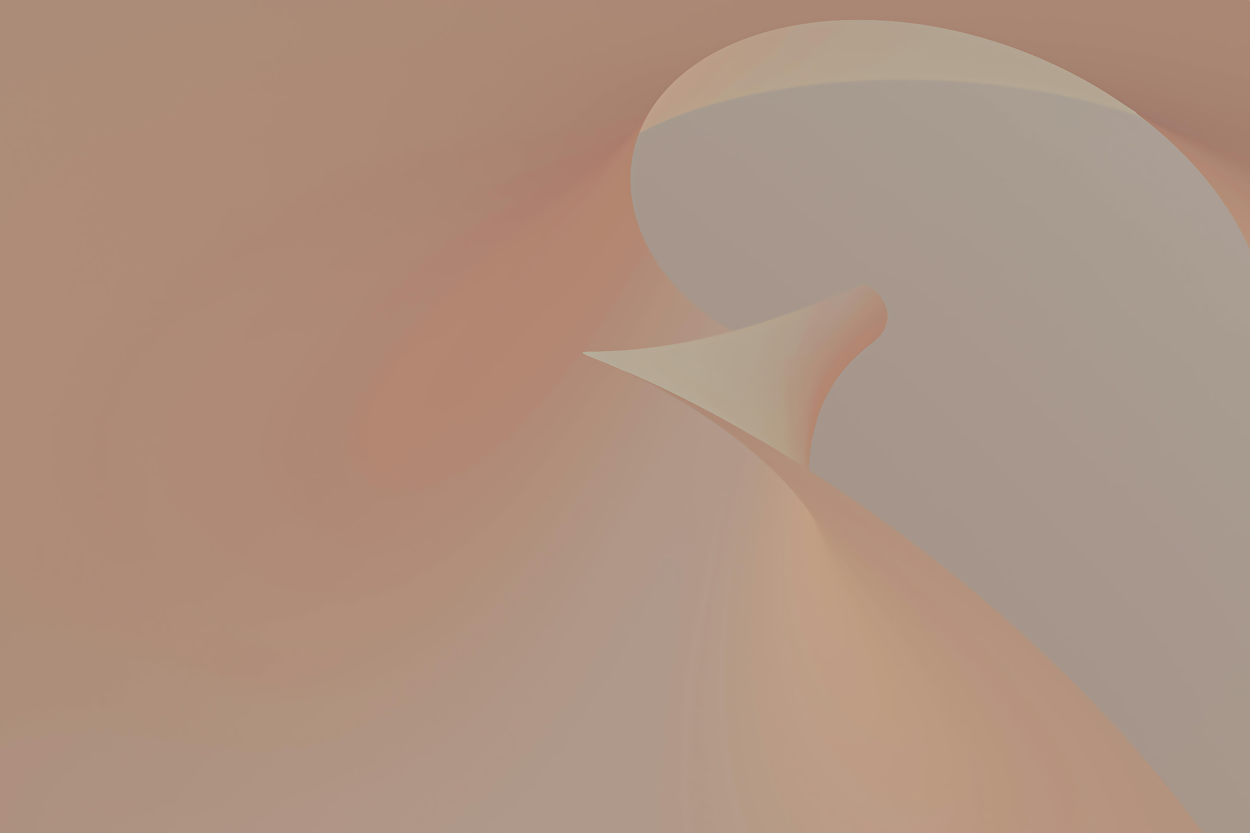 Desert Bloom Abstract
