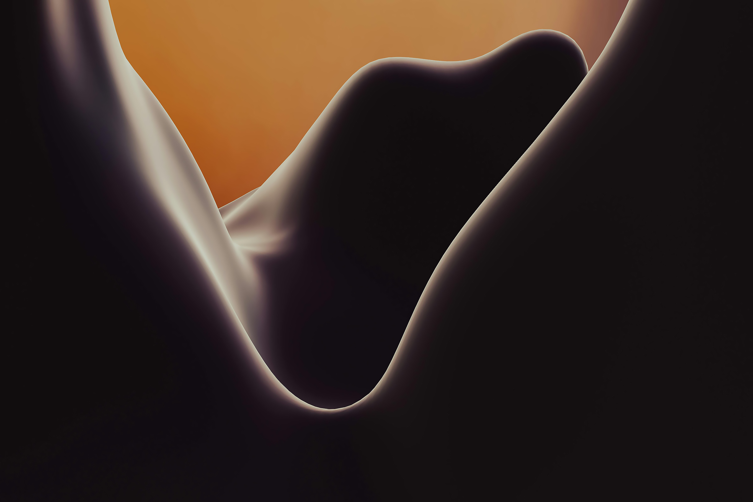 Desert Dune Forms