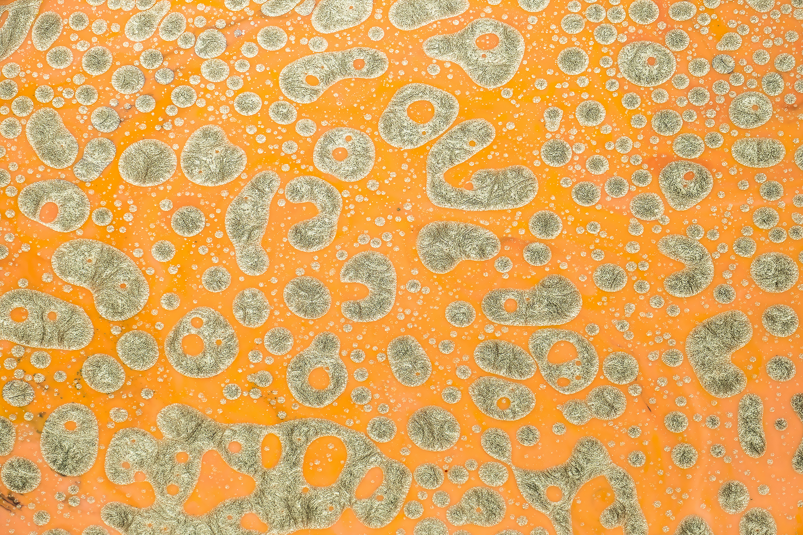 Golden Speckled Orange
