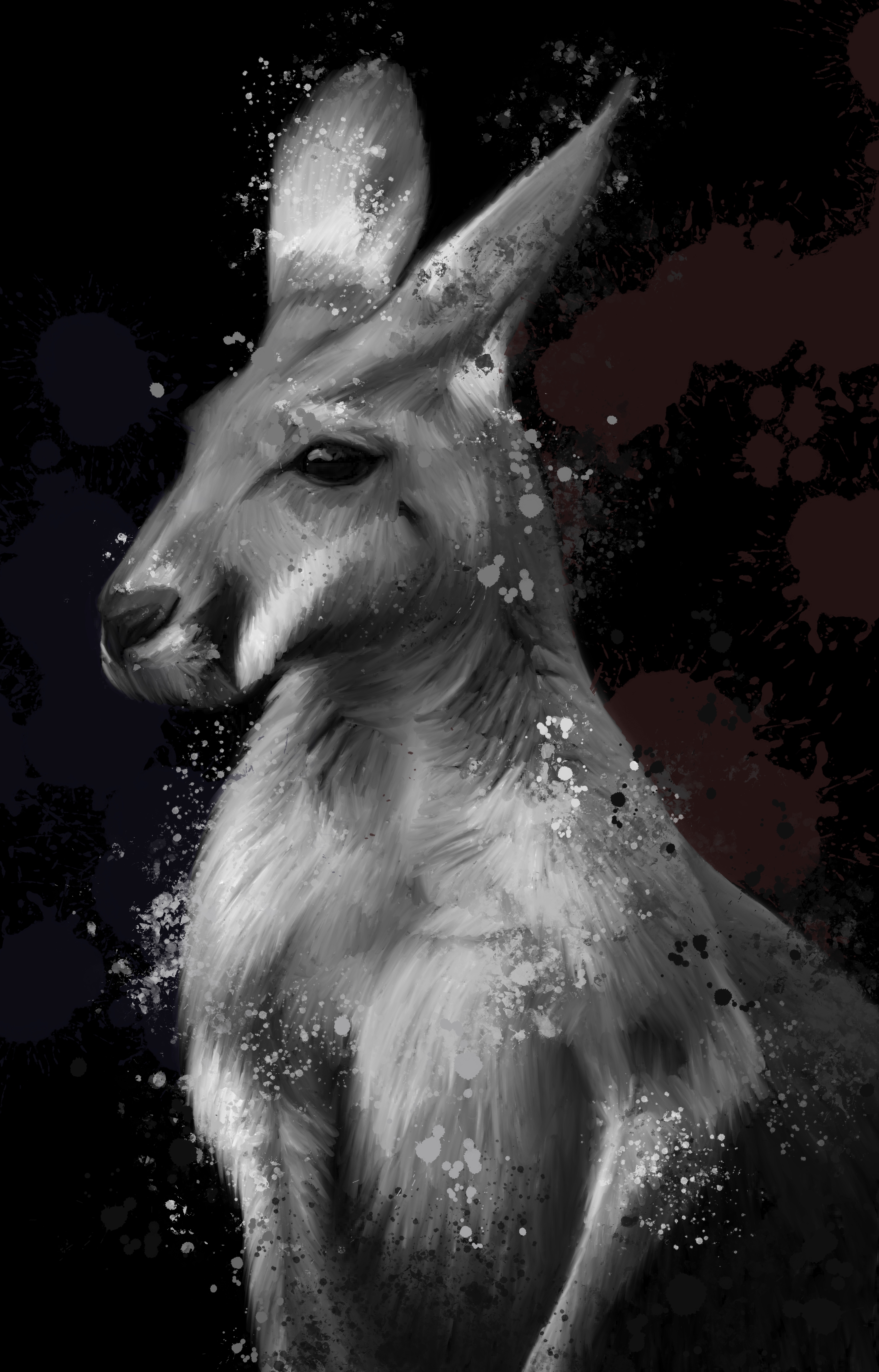 Monochromatic Kangaroo Portrait