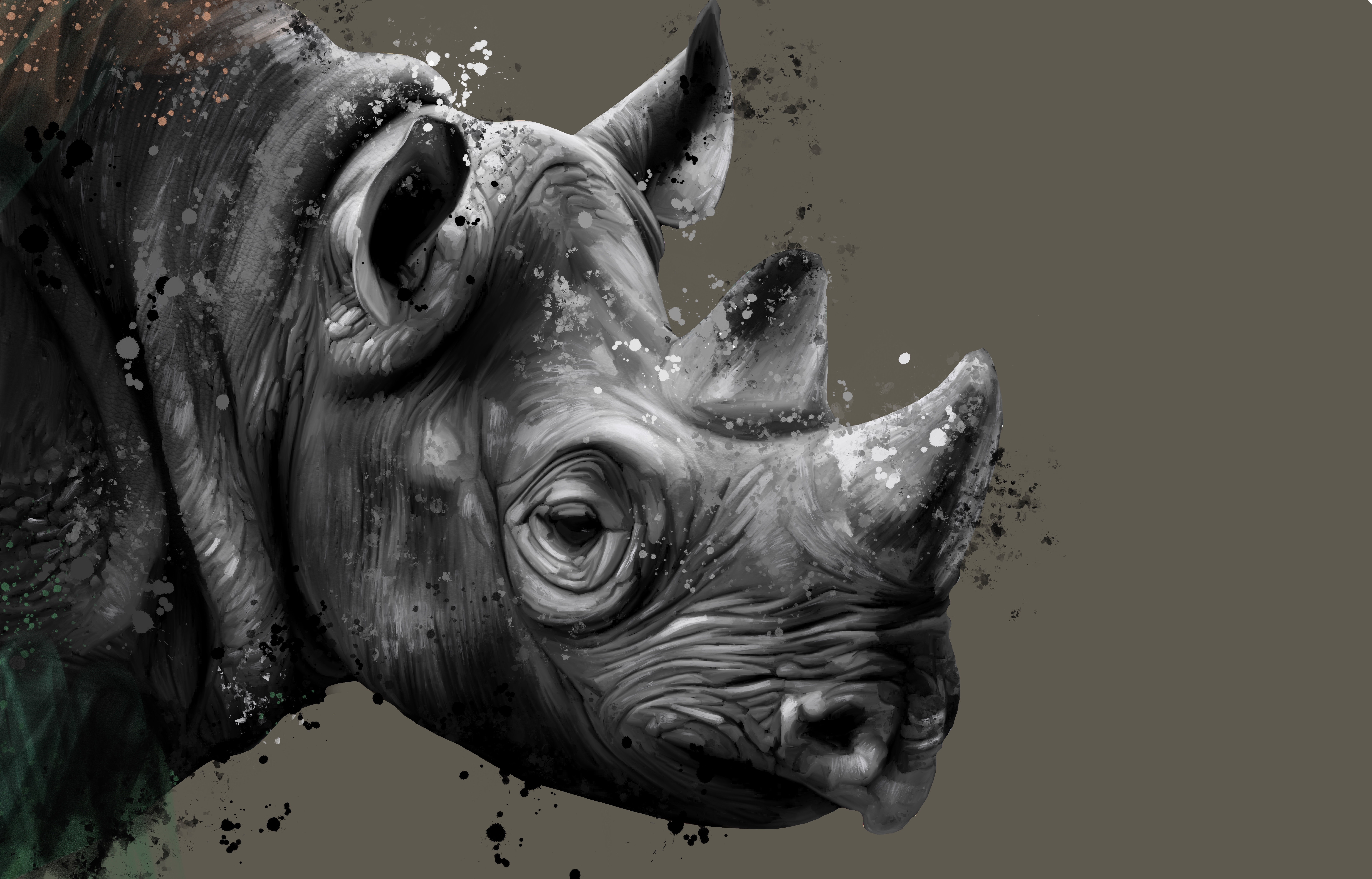 Monochromatic Rhinoceros Portrait