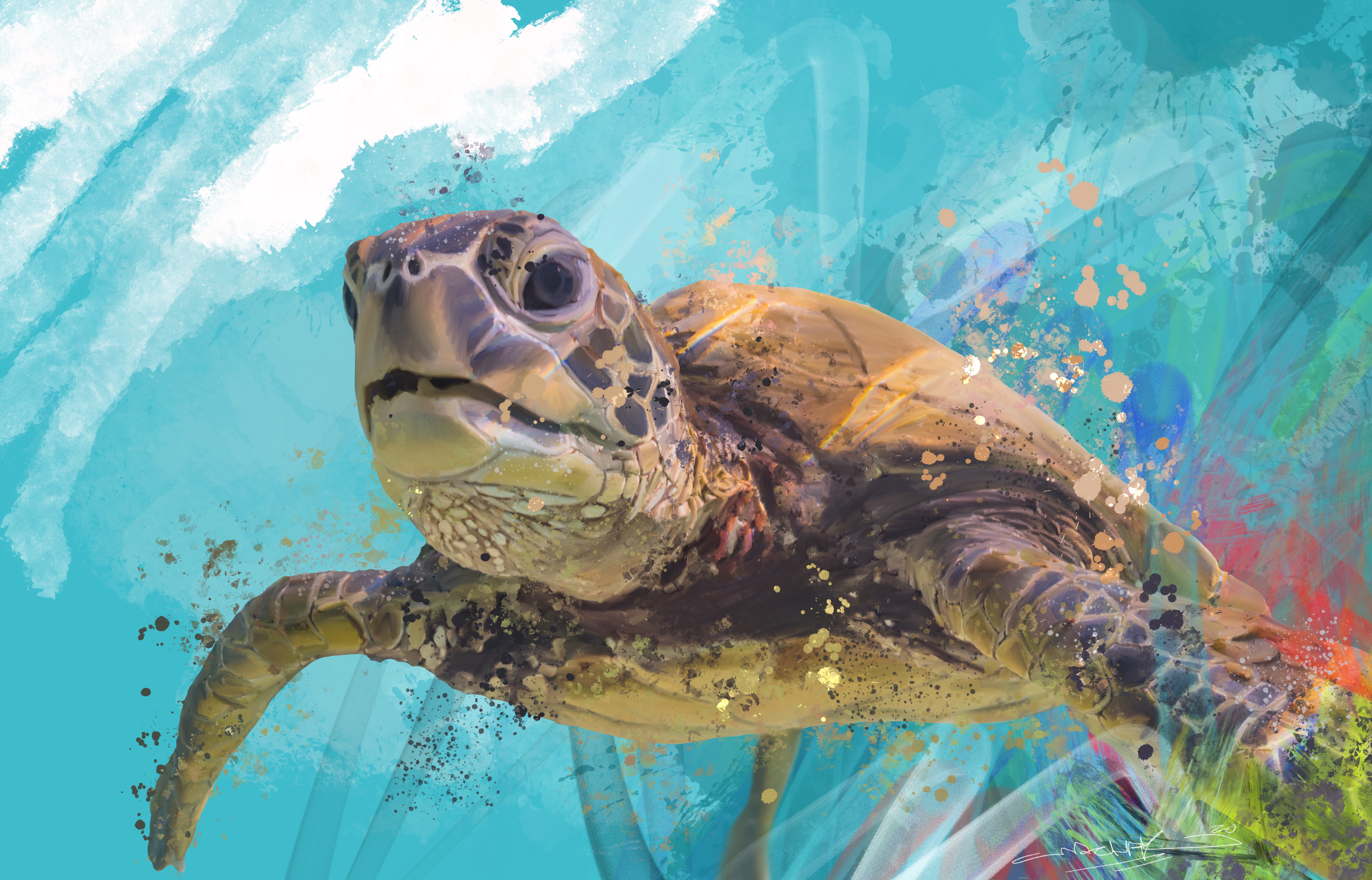 Ocean's Gaze Turtle