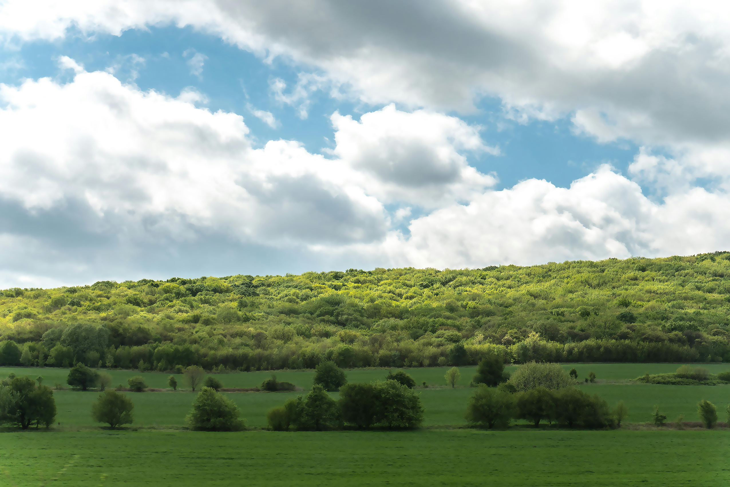 Verdant Hills, Spring Skies